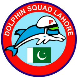 Pakistan Dolphin Force jobs 2025